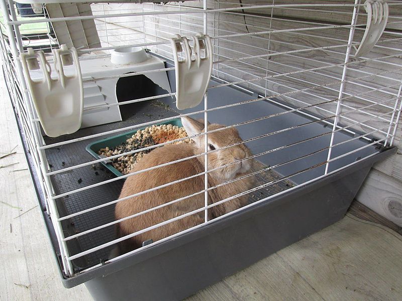 Изображение не доступно